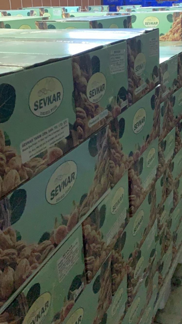 malatya-sevkar-kayisi