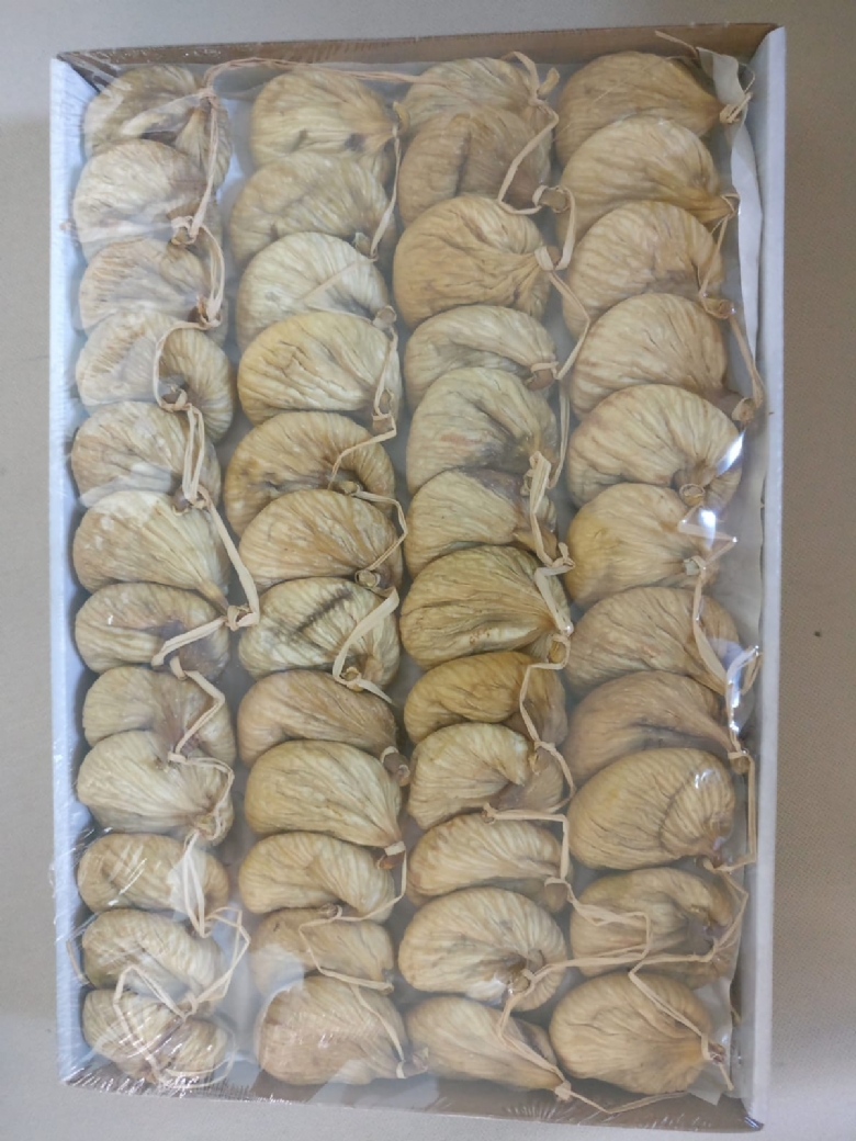 malatya-sevkar-kayisi